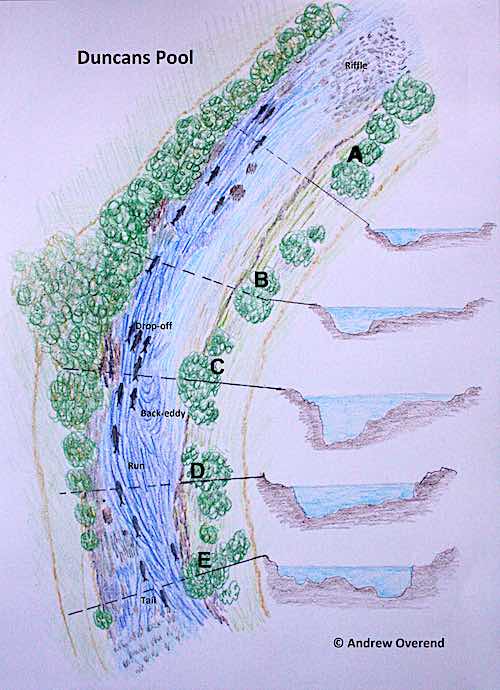 Duncans Pool sketch trout and grayling fishing