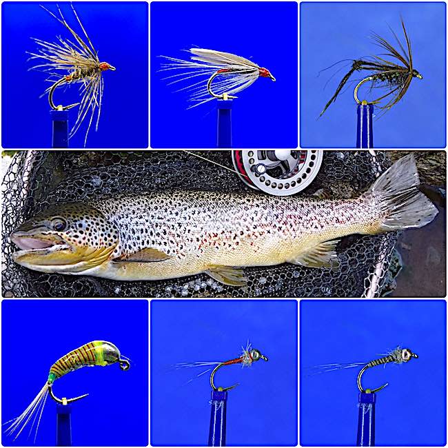Trout flies for June - feature image