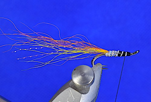 Cascade salmon fly: How to tie 2 versions of this great fly