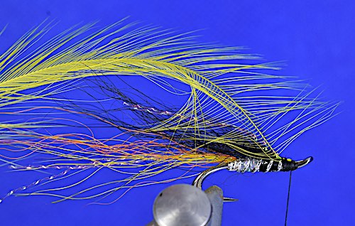 Cascade salmon fly - stage 8