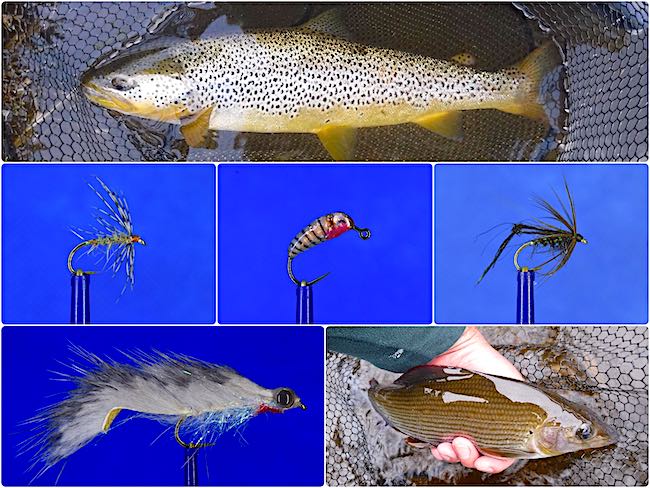 12 great flies for September trout and grayling fishing