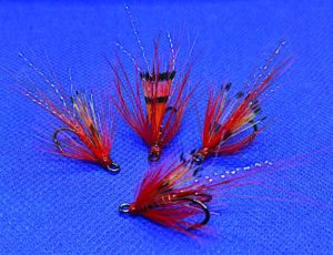 Red Ally's shrimp salmon fly feature image