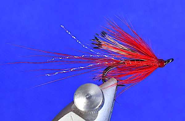 Red Ally's shrimp fly fishing for salmon