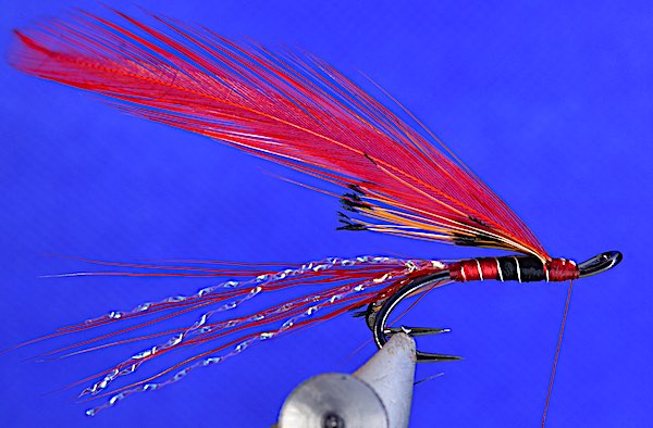 Red Ally's shrimp salmon fly stage 6