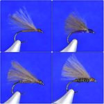 F Fly post feature image