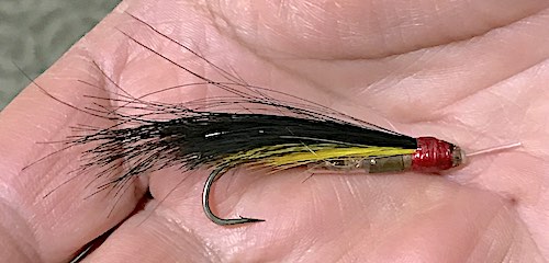 Buddy's trimmed Collie Dog tube fly