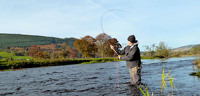 Casting a long line while fishing on the river tweed at Traquair