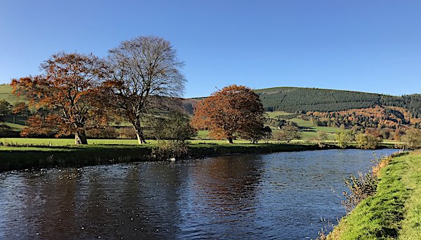 fishing on the river tweed at Traquair - New Pool