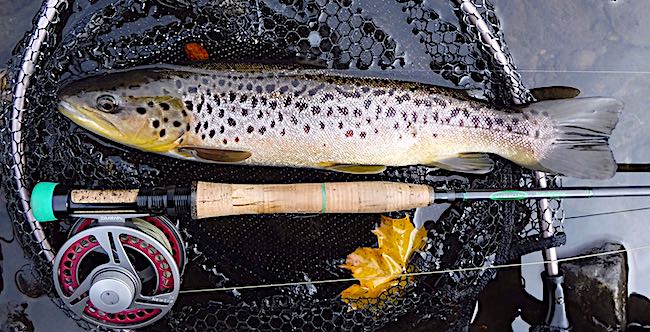 Top 10 Four Weight Fly Rods