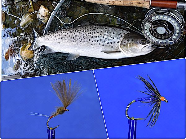 How To Catch Big Seatrout on Fly Fishing Tackle