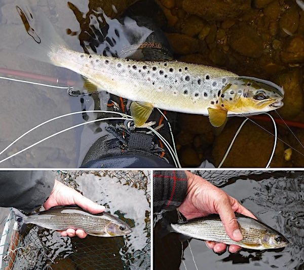 Euro nymphing for trout and grayling