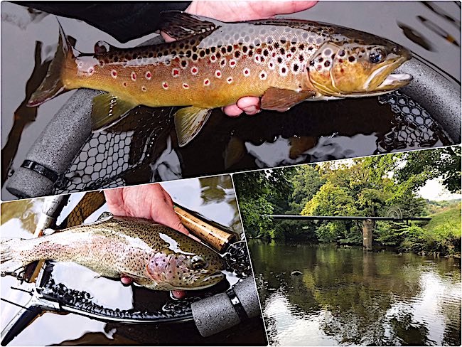 trout fishing in Derbyshire feature image