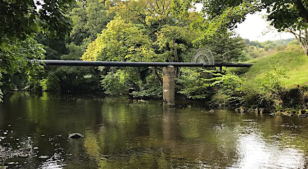 trout fishing on the river derwent - 2