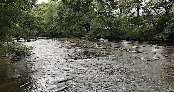 trout fishing on the river derwent - 3