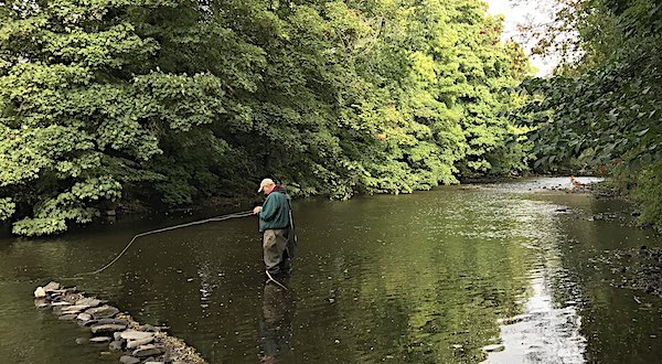 trout fishing in Derbyshire on the river derwent