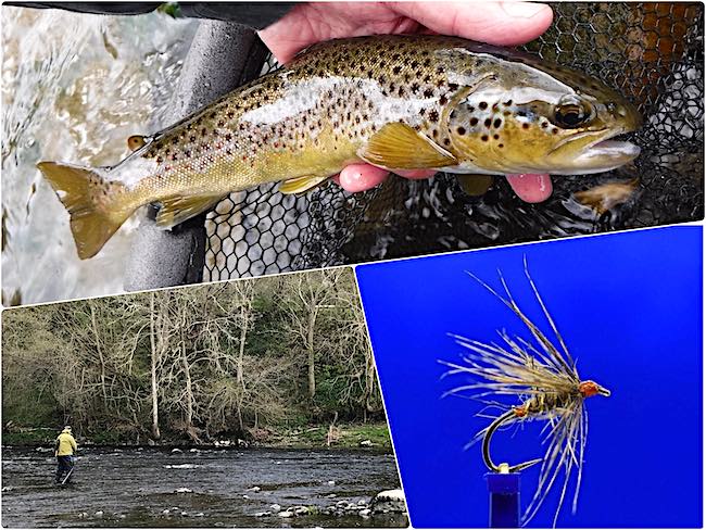 Trout fly fishing in 2023 on the beautiful Welsh Dee