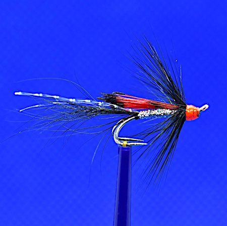 Black and silver Allys shrimp fly fishing for salmon