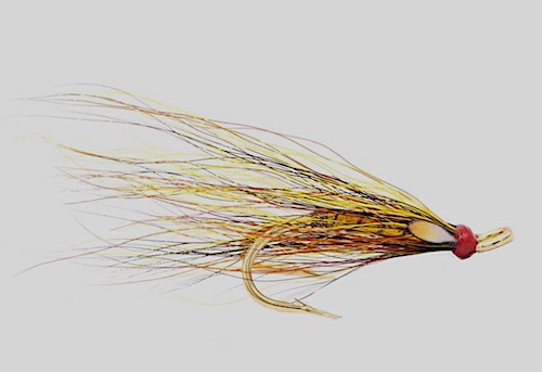 Golden Willie Gunn - fly fishing for salmon