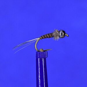 Peacock Quill nymph - 16 HE collar 2mm TB