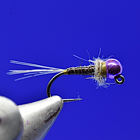 Peacock Quill nymph - HE collar purple TB