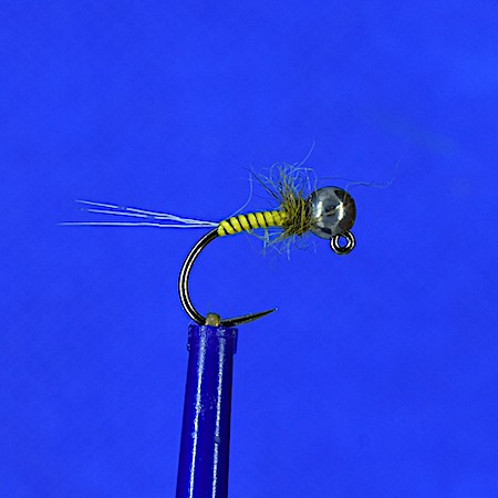 Yellow Peacock Quill nymph - olive collar 3mm TB