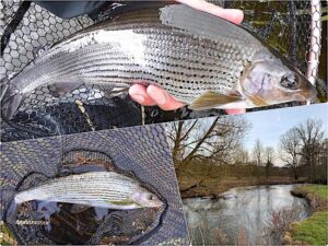 Fishing on the river wye - feature image