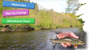 Wet fly fishing video featured image