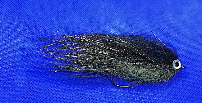 Black pike fly