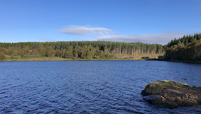 Likely spot fro pike fly fishing