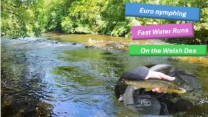 fly fishing nymphs video