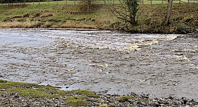 River Ribble pollution