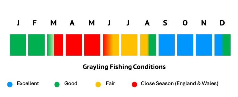 Best months for grayling fly fishing