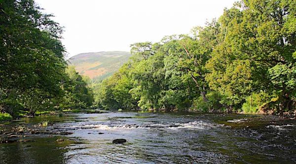 How to fish Sycamore Run on the beautiful Welsh Dee